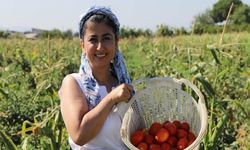 Pestisite savaş açan İzmirli eczacı: "Doğal tarım bir seçenek değil, sorumluluk!"