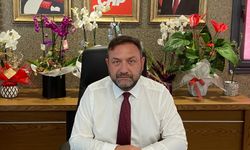 Gümrükçü: "102 yıllık çınardan bir iki dal kırdık diye sevinenlerin planları suya düştü"