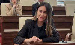 Hülya Şimşek kimdir, neden tutuklandı? Bir avukatın adı Şapkalılar dosyasında nasıl geçti
