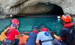 Akdeniz fokları için Karaburun'dan önemli çağrı... "Yuvalarına dokunmayın!"