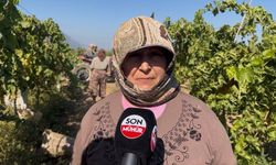 Manisalı Üretici “Mahsulümüz Para Etmiyor, Sonumuzu Göremiyoruz”