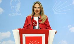 İhraç listesinde adı geçen Nazlıaka'dan açıklama: "Bugünkü CHP köklerinden kopmuş durumdadır"