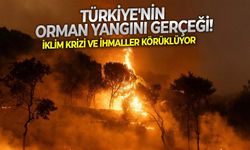 İklim krizi ve ihmaller körüklüyor: Türkiye'nin orman yangını gerçeği!