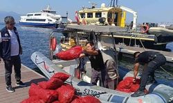 İzmir Balçova'da yasa dışı midye avına ağır darbe: 5 kişiye para cezası!