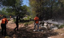SON DAKİKA İzmir Buca'daki yangın kontrol altına alındı!