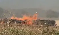 Tire OSB’de korkutan yangın! Fabrika alevlere teslim oldu