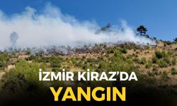 SON DAKİKA İzmir Kiraz'da orman yangını!
