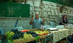 İzmir'de Güzelbahçe'nin altın sarısı inciri görücüye çıktı: 12. Festivalden renkli görüntüler...