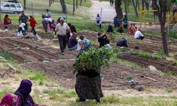 İzmir'de toprakla gelen dayanışma: 200 kadının bostan mesaisi