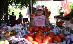 Karşıyaka'da Yamanlar Domatesi mesaisi başladı!