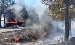 Zincirleme kaza sonrası araçlar alev aldı, yangın ormana sıçradı!