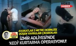 Avukatlar 3 metre derinliğe düşen yavruları çıkardılar: İzmir Adliyesi'nde 'kedi' kurtarma operasyonu!