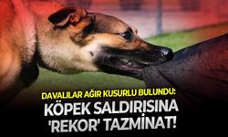 Davalılar ağır kusurlu bulundu: Köpek saldırısına 'rekor' tazminat!