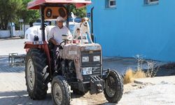 İzmir Kınık'ta yürek ısıtan dostluk: Sokaktan sahiplendi, 3'üncü çocuğu gibi oldu!