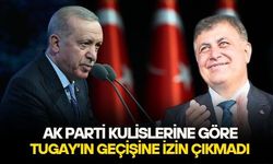 Cemil Tugay'ın AK Parti'ye transferine Külliye'den veto mu var? AK Partili isim Cumhurbaşkanı Erdoğan'ı işaret etti