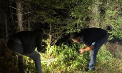 Ormanlık alanda silahlı saldırı: 24 yaşındaki genç yaralandı!