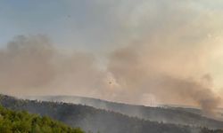 Manisa Kula’daki orman yangını 8 saatte kontrol altına alındı!