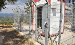 Muğla'da baz istasyonlarından 76 akü çaldı: O şüpheli tutuklandı!