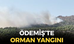 SON DAKİKA Ödemiş'te orman yangını: Havadan ve karadan müdahale başlatıldı!