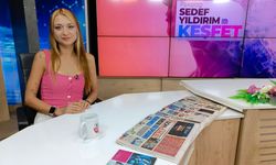 Psikolog Özlem Sena Depecik: Hayvanların davranışlarının altında farklı nedenler olabilir!