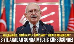 3 yıl aradan sonra Meclis kürsüsünde! Kılıçdaroğlu, Demirtaş ve 4 ismi saydı: "Serbest kalacaklar"