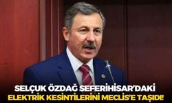Selçuk Özdağ Seferihisar’daki elektrik kesintilerini Meclis’e taşıdı