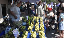 Üretim rekor kırdı, kilosu 250 liradan satıldı: 15. Bardacık İnciri Festivali'nde coşkulu hasat!