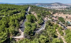 Seferihisar’da yollar yenileniyor! Teos Caddesi’nde asfalt mesaisi