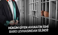 Hüküm giyen avukatın ismi baro levhasından silindi!