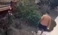 Bayraklı’da akılalmaz şiddet: Yavrulu kediye tekme attı, yanıtı sert oldu!
