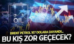 Akaryakıtta üç haneli rakam şoku! 100 lira sınırına dayanan motorinde her akaryakıt aldığımızda kimin cebine, ne kadar para koyuyoruz?
