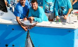 Çeşme’de Oltalar rakipler için atılacak: Big Fish Türkiye 2026 için geri sayım başladı