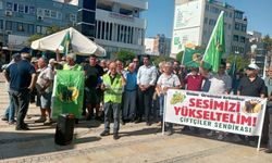 Çiftçilerden TARİŞ’in üzüm fiyatına sert tepki