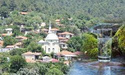 Dağların arasından geliyor, bidonlarla götürülüyor: Ünü İzmir sınırlarını aştı