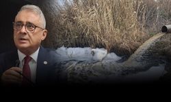 Gediz Nehri’nden ‘imdat’ çığlığı yükseliyor! Karagöz’den ‘içme suyu’ uyarısı