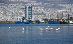 Geleceğin kent rehberi İzmir’de yazılıyor: CLI-MET projesi sahada