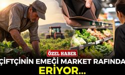 Çiftçinin emeği market rafında eriyor... Tarlada alın teri, tezgahta yüksek fiyat!