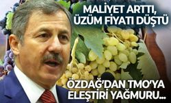 Maliyet arttı, üzüm fiyatı düştü: Özdağ’dan, TMO’ya eleştiri yağmuru...