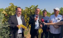 Manisa’da bağ bozumu festivali heyecanı başladı