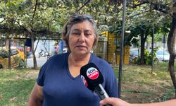 Muhtar Nevin Becerikli Baybatur’dan özür diledi “Farkında Bile Değildim”