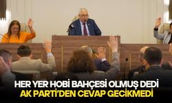 Kemalpaşa Belediye Başkanı Mehmet Türkmen hobi bahçeleri tespitine AK Parti'den manidar cevap: Muhalefette olsanız sizi aday gösterirdik!