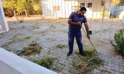 Menderes'te yabani ot seferberliği: Ekipler sokakları ve sahilleri temizliyor