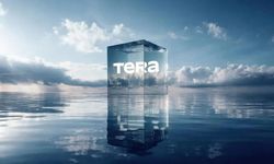 Tera Finans ve Hedef Holding’de 2 yönetici görevi bıraktı