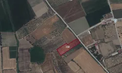 Tire'de şahıs arazisinden çıkan Bizans buluntuları sonrası sit kararı!
