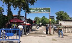Tire’de şap alarmı: Hayvan Pazarı geçici olarak kapatıldı