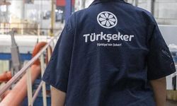 Türkşeker 182 işçi alıyor! Başvurular nasıl yapılır, şartlar neler?