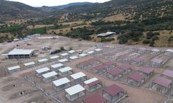 2 bin 500 hayvanı ağırlayacak! İzmir’de dev kampüsün yapımı sürüyor