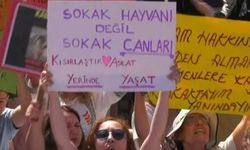 Bugün saat 19.00'da Tren Garı'nda eylem yapacaklar: 'İzmir Hayvan Hakları Savunucuları' Alsancak'ta toplanıyor!