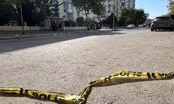 İzmir’de iki emekli astsubay kardeşin tartışması faciayla bitti! Cinayetin arkasındaki iddia şoke etti