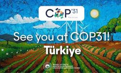 COP31 nedir ve Antalya'daki iklim zirvesi ne zaman başlayacak?